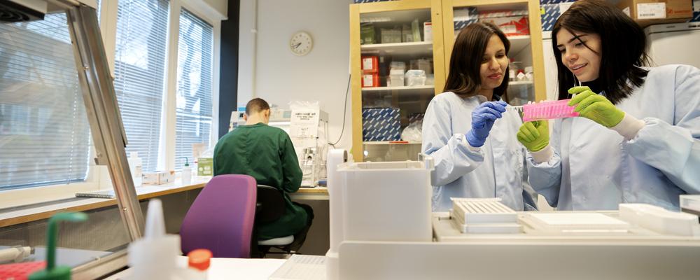 Photo from the lab at Biomaterials Gothenburg University