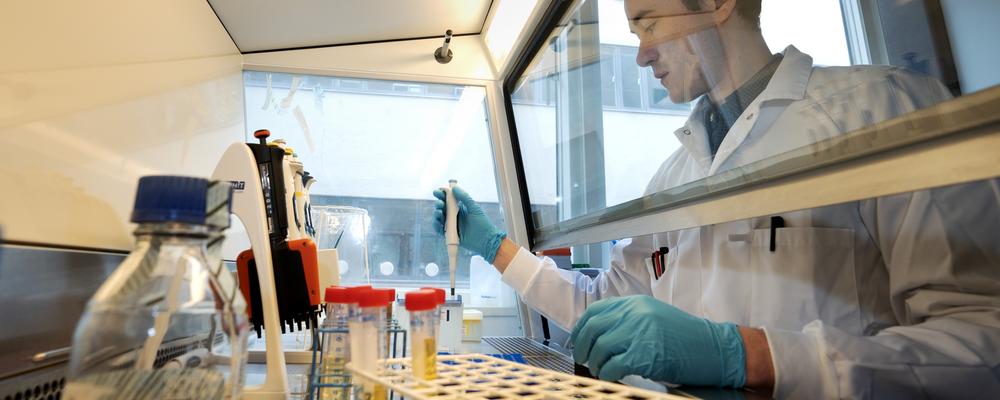 Photo from the lab at Biomaterials Gothenburg University