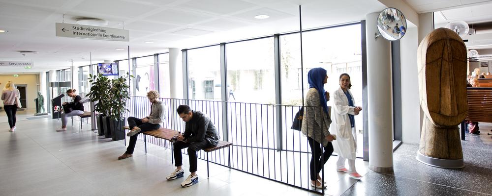 Students at "Medicinareberget" Gothenburg University