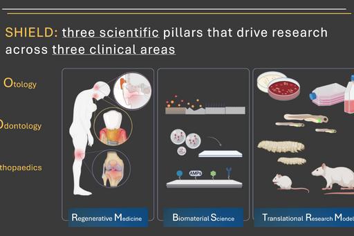 SHIELD:s tre vetenskapliga pelare som driver forskning inom tre kliniska områden