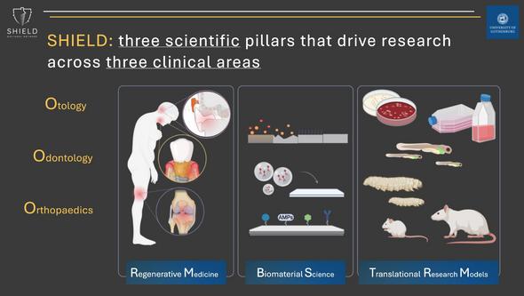 SHIELDs - three scientific pillars that drive research across three clinical areas
